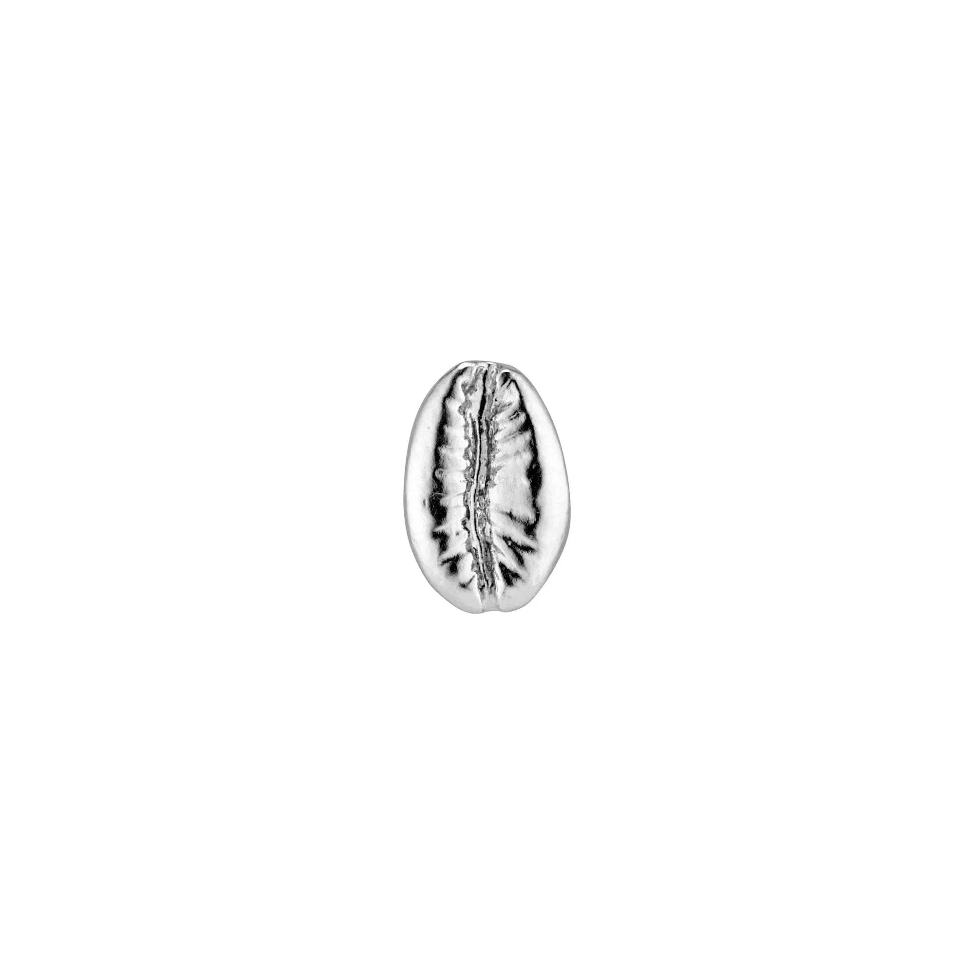 Cowry Shell Charm