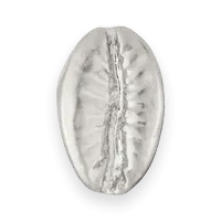 Cowry Shell Charm