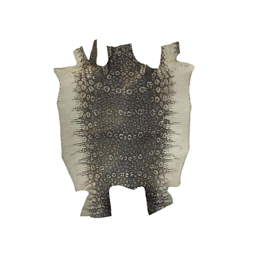 Ring Marked Lizard Skins