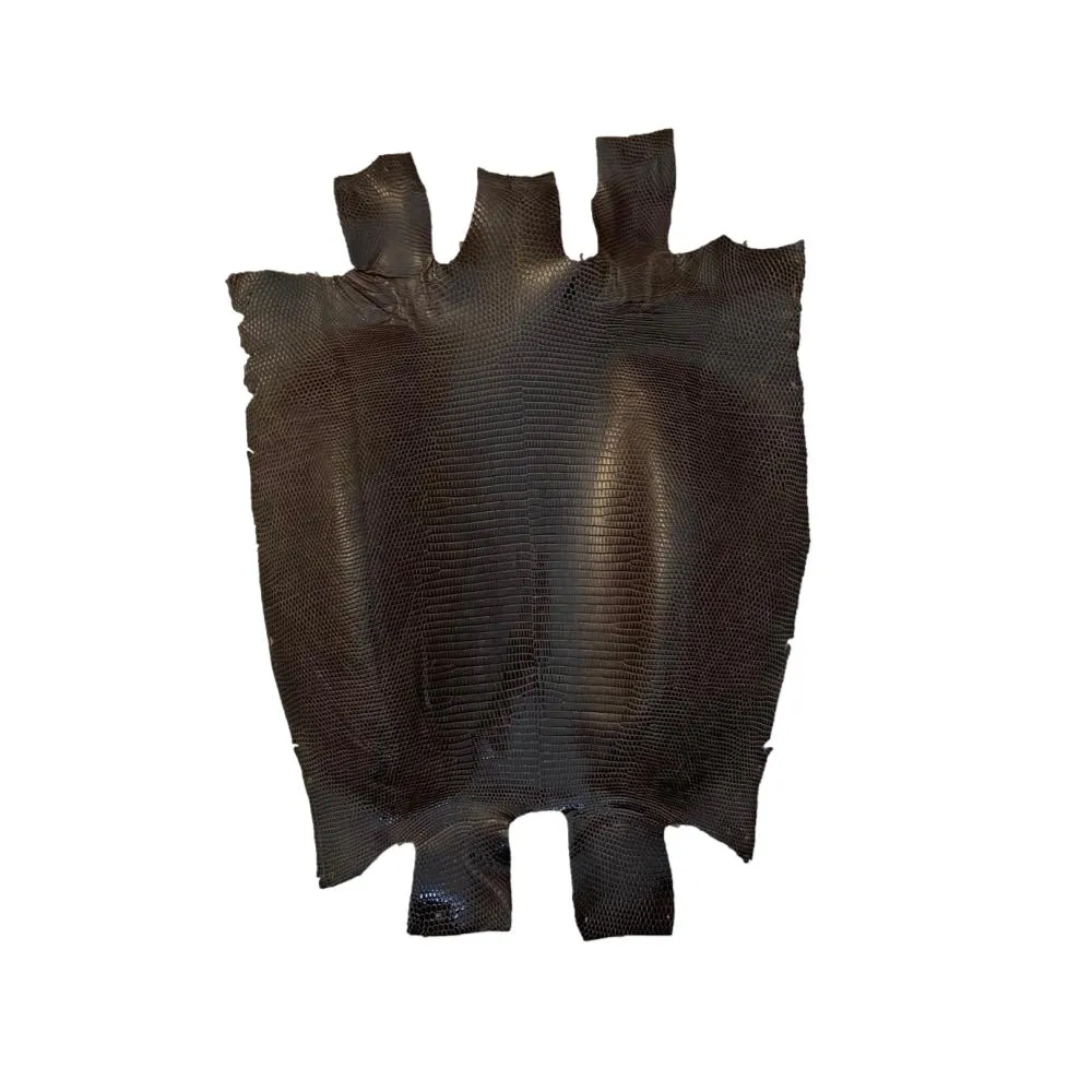 Ring Marked Lizard Skins